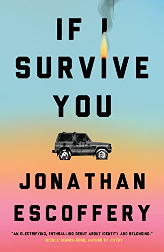 Stock image for If I Survive You for sale by Your Online Bookstore