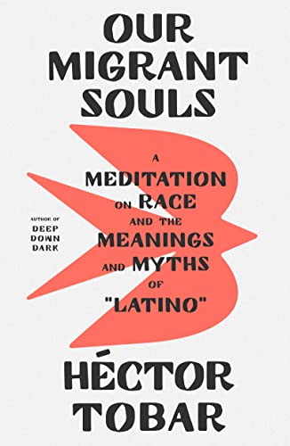 Beispielbild fr Our Migrant Souls: A Meditation on Race and the Meanings and Myths of Latino zum Verkauf von Ebooksweb