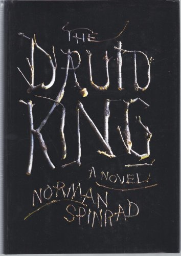 Beispielbild fr The Druid King zum Verkauf von Better World Books