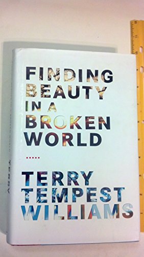 Beispielbild fr Finding Beauty in a Broken World zum Verkauf von Jenson Books Inc