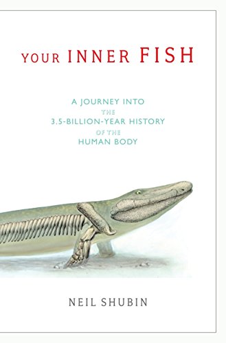 Beispielbild fr Your Inner Fish: A Journey into the 3.5-Billion-Year History of the Human Body zum Verkauf von Goodwill of Colorado