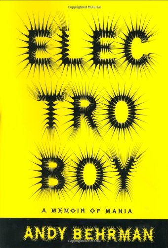 Beispielbild fr Electroboy: A Memoir of Mania zum Verkauf von BooksRun