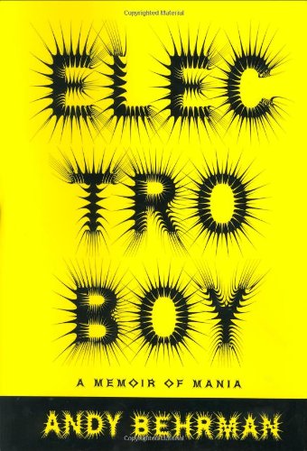 Electroboy. A Memoir of Mania