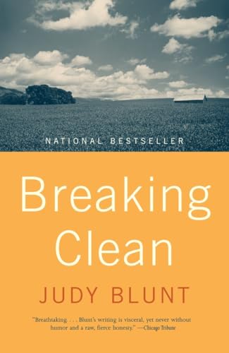 Stock image for Breaking Clean for sale by SecondSale