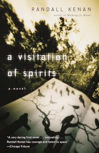 Beispielbild fr A Visitation of Spirits A Nove zum Verkauf von SecondSale