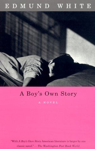 Beispielbild fr A Boy's Own Story zum Verkauf von Better World Books