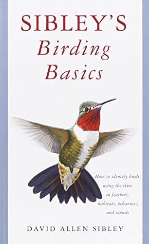Stock image for Sibley's Birding Basics: How to Identify Birds, Using the Clues in Feathers, Habitats, Behaviors, and Sounds (Sibley Guides) for sale by SecondSale
