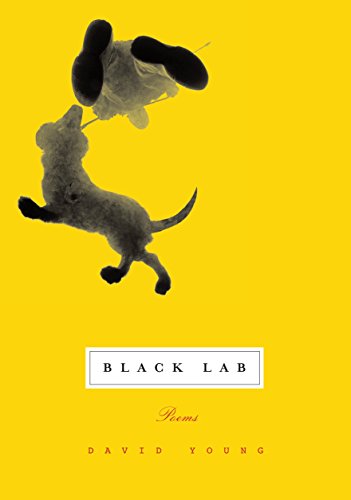 Stock image for Black Lab : Poems for sale by Better World Books