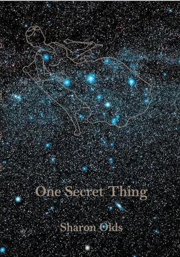 Beispielbild fr One Secret Thing zum Verkauf von Books From California