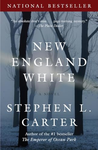 Beispielbild fr New England White (Vintage Contemporaries) zum Verkauf von SecondSale