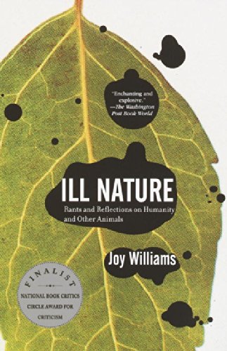 Stock image for Ill Nature for sale by The Maryland Book Bank