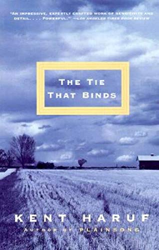 9780375724381: The Tie That Binds: A Novel (Vintage Contemporaries)
