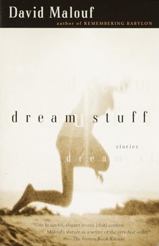 9780375724497: Dream Stuff: Stories (Vintage International)