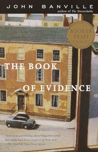 Beispielbild fr The Book of Evidence zum Verkauf von SecondSale