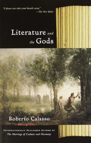 Imagen de archivo de Literature and the Gods a la venta por GF Books, Inc.