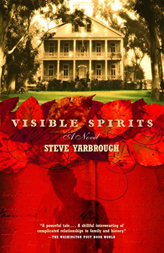 Beispielbild fr Visible Spirits : A Novel zum Verkauf von Better World Books