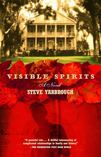 Stock image for Visible Spirits : A Novel for sale by Better World Books