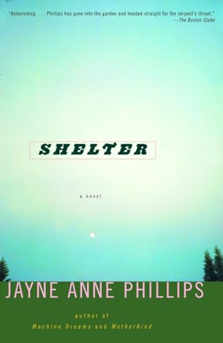 9780375727399: Shelter: A Novel (Vintage Contemporaries)