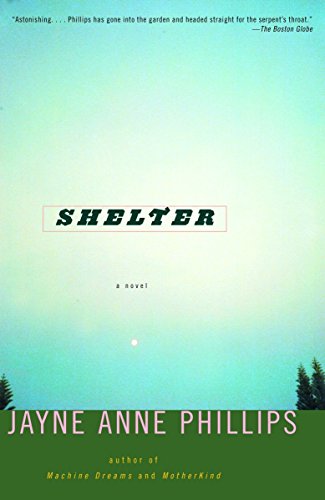Stock image for Shelter : A Novel for sale by Better World Books