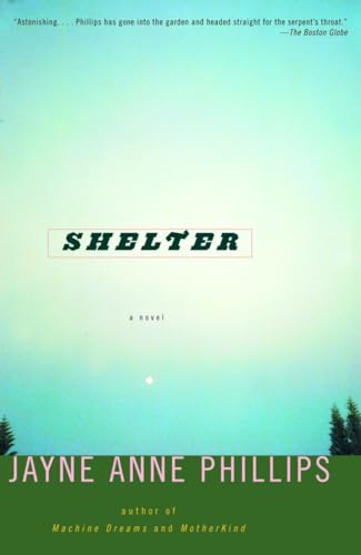 9780375727399: Shelter: A Novel