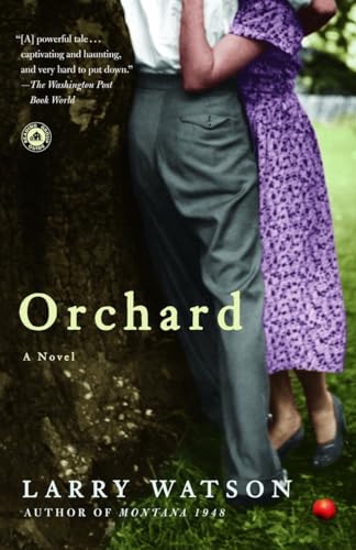 Beispielbild fr Orchard: A Novel zum Verkauf von Wonder Book