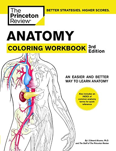 Beispielbild fr Anatomy Coloring Workbook, 3rd Edition (Coloring Workbooks) zum Verkauf von WorldofBooks