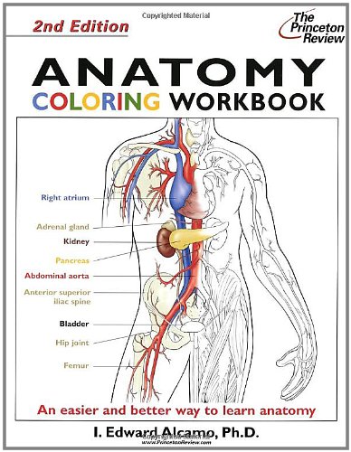 Beispielbild fr The Princeton Review Anatomy Coloring Workbook: Bk. 2 zum Verkauf von WorldofBooks