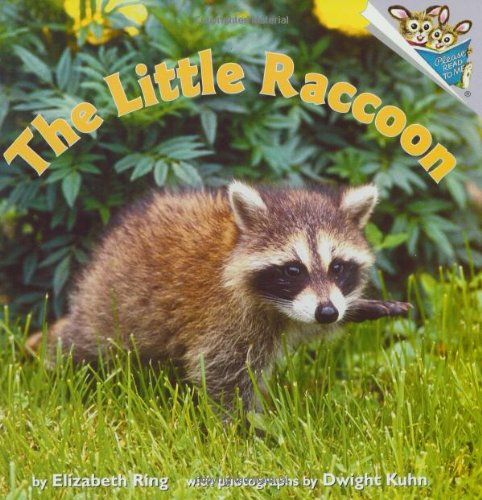 Imagen de archivo de The Little Raccoon (Pictureback(R)) a la venta por Wonder Book