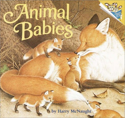 Imagen de archivo de Animal Babies (A Random House Pictureboard) a la venta por More Than Words