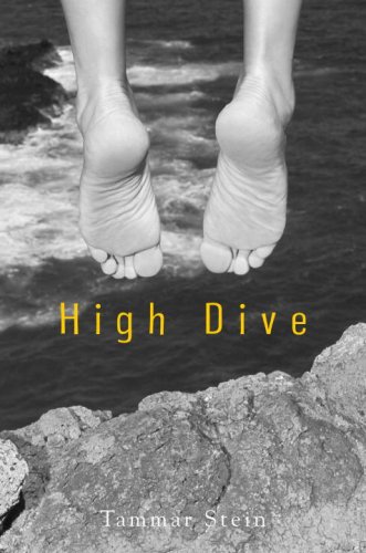 Stock image for High Dive for sale by dsmbooks