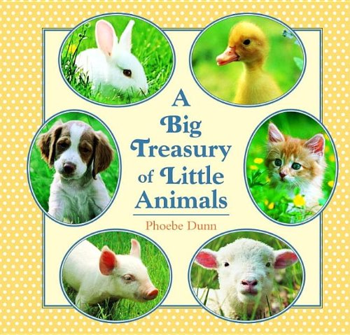 9780375841774: A Big Treasury of Little Animals
