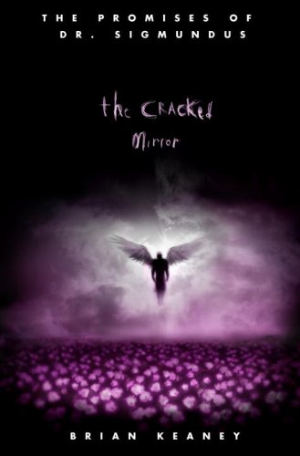 Imagen de archivo de The Cracked Mirror a la venta por Better World Books