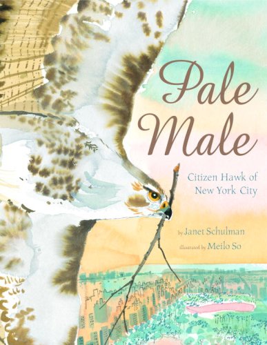 Beispielbild fr Pale Male: Citizen Hawk of New York City zum Verkauf von WorldofBooks