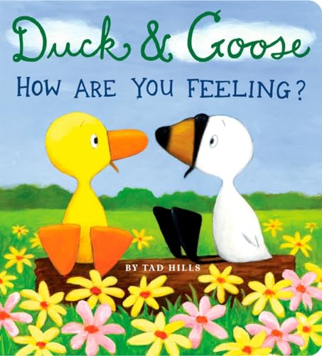 9780375846298: Duck & Goose, How Are You Feeling?