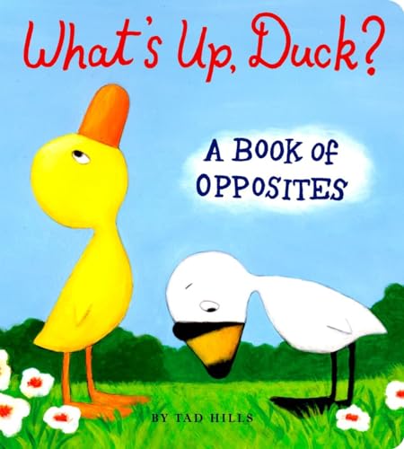 Beispielbild fr What's Up, Duck?: A Book of Opposites (Duck & Goose) zum Verkauf von Orion Tech