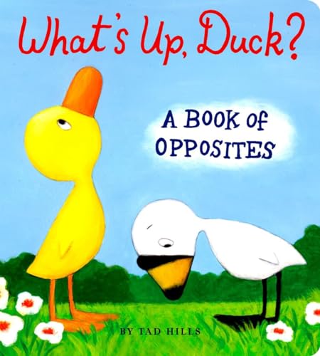 9780375847387: What's Up, Duck?: A Book of Opposites (Duck & Goose)