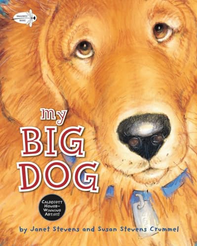 Stock image for My Big Dog (A Golden Classic) for sale by SecondSale