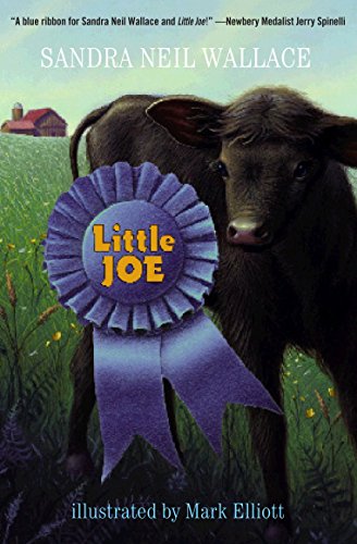 Stock image for Little Joe for sale by Wonder Book