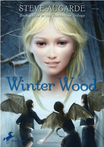 Imagen de archivo de Winter Wood a la venta por ThriftBooks-Dallas