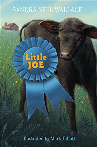 Beispielbild fr Little Joe zum Verkauf von Better World Books
