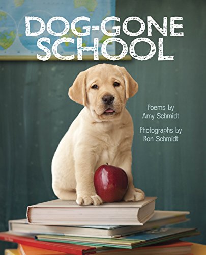 Beispielbild fr Dog-Gone School zum Verkauf von SecondSale