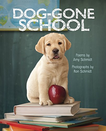 9780375869747: Dog-Gone School