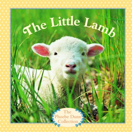 Stock image for The Little Lamb for sale by ThriftBooks-Dallas