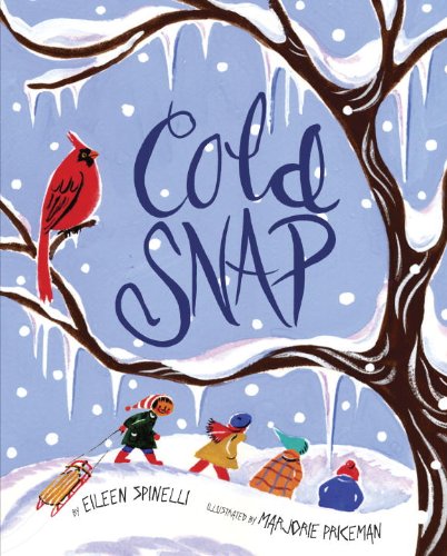 Cold Snap (9780375957000) by Spinelli, Eileen