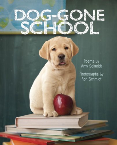 Imagen de archivo de Dog-Gone School a la venta por Better World Books