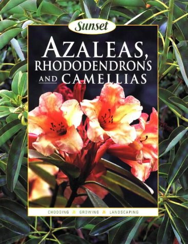 Stock image for Azaleas, Rhododendrons and Camellias for sale by Once Upon A Time Books