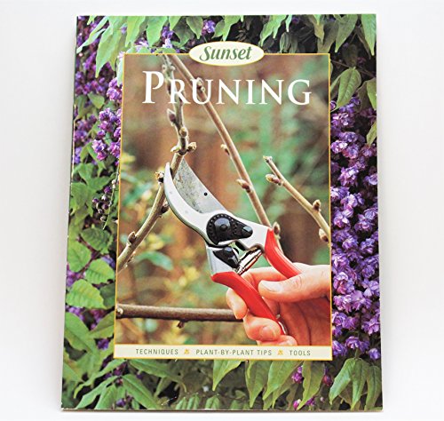 Pruning