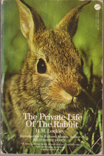 9780380004478: The Private Life of the Rabbit