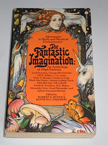 Imagen de archivo de The Fantastic Imagination a la venta por Wally's Books