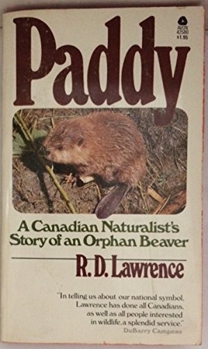 Stock image for Paddy for sale by ThriftBooks-Dallas